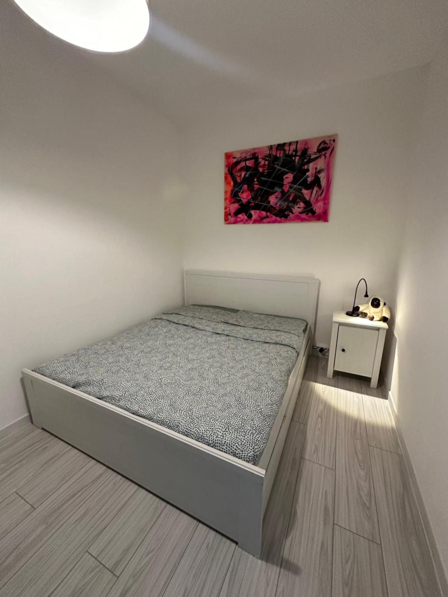 B&B Luna Rosa Pisa Exterior photo